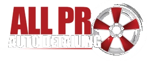All Pro Auto Detailing